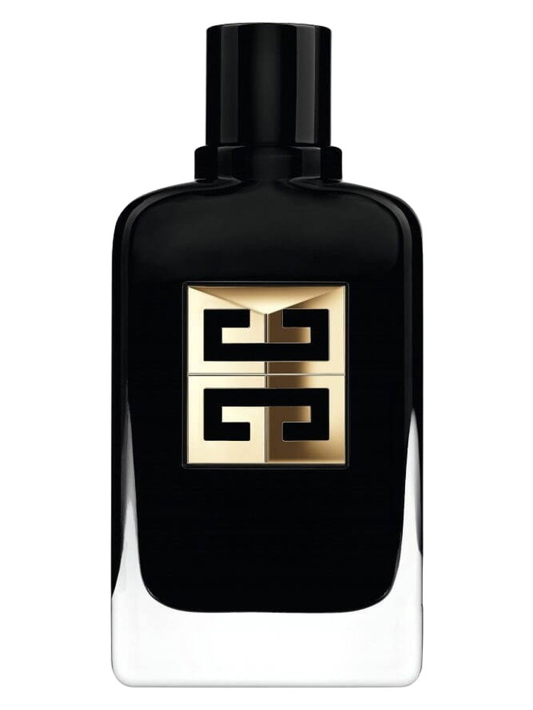 Gentleman Society Ambree